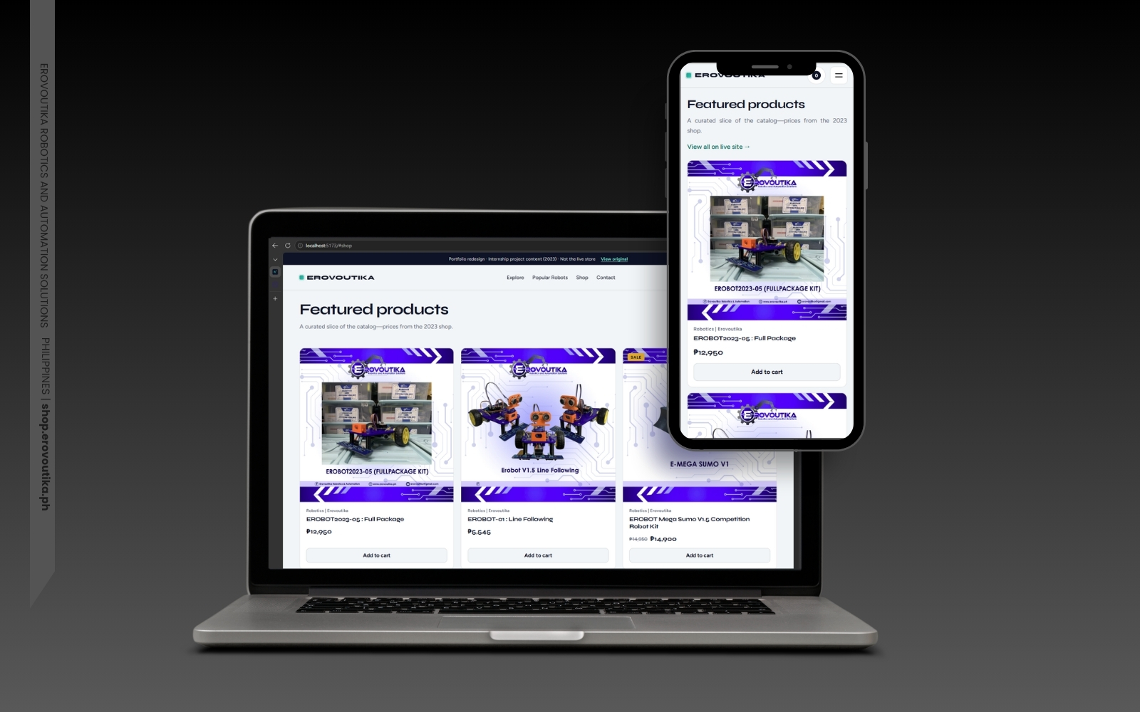 Erovoutika website project